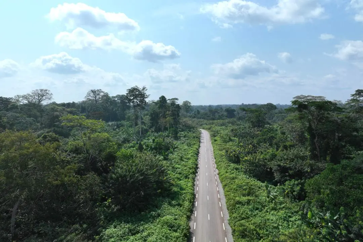 喀麦隆阿瓦埃-索阿公路整治项目通过交工验收.png